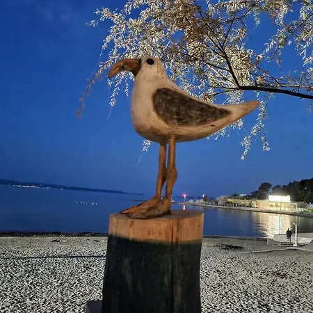 Apartment Larus *