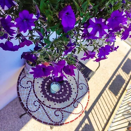 Apartman Larus Split