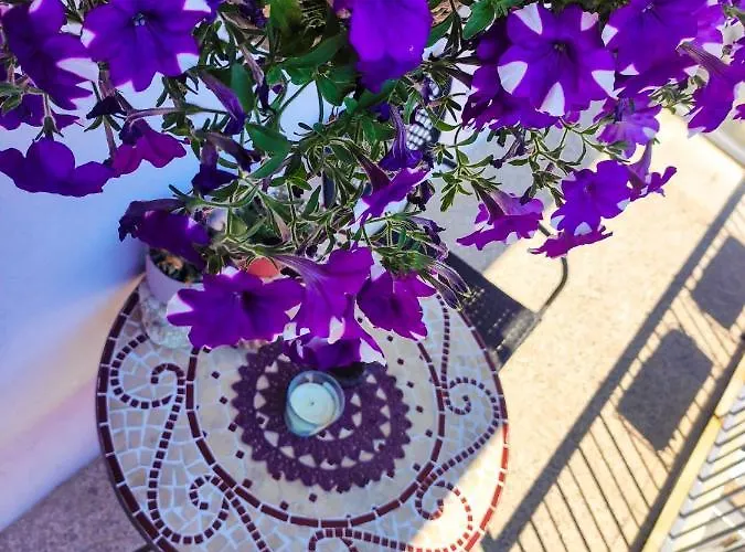 Lägenhet Larus Split